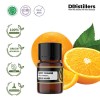 2ML GS 