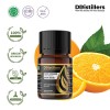 10ML GS 