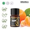 10ML GS 