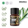 5ML GS 