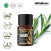 10ML GS 