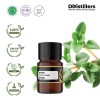 2ML GS 