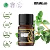 5ML GS 