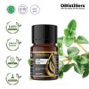 10ML GS 