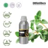 500ML SS 