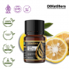 10ML GS 
