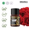 6ML GS 