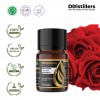 12ML GS 