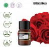 1ML GS 