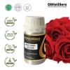 50ML SS 