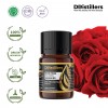 6ML GS 