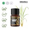 5ML GS 