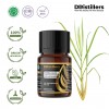 10ML GS 