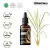 50ML GS 