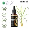100ML GS 