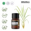 2ML GS 