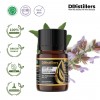 5ML GS 