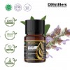 10ML GS 