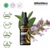 50ML GS 