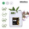 1L HDPE 