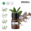 2ML GS 