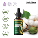 Cottonseed/ Biji Kapas Carrier Oil Pure 100% | Gossypium Herbaceum