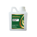 MORINGA SEED OIL