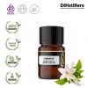 2ML GS 