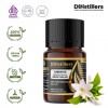 5ML GS 