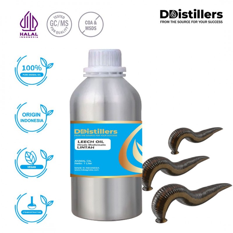 Leech / Lintah Animal Oil Pure 100% | Hirudo Medicinalis