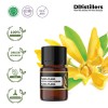 2ML GS 