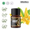 5ML GS 