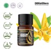 10ML GS 
