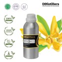 Ylang-Ylang / Kenanga Essential Oil Pure 100% | Cananga Odorata var. Genuina