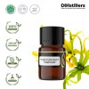 2ML GS 