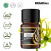5ML GS 