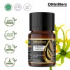 10ML GS 