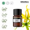 2ML GS 