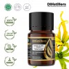 5ML GS 