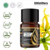 10ML GS 