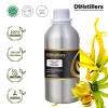1L SS 