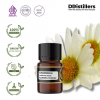 2ML GS 