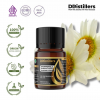 10ML GS 