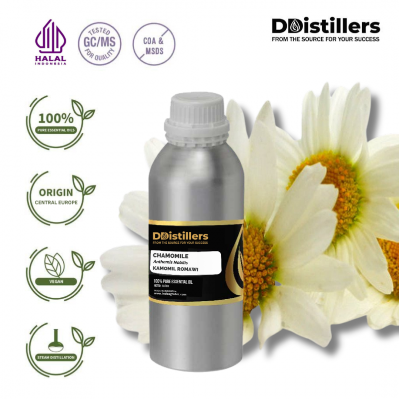 Chamomile / Bunga Kamomil Romawi Essential Oil Pure 100% | Anthemis nobilis