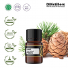 2ML GS 