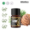 5ML GS 