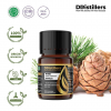 10ML GS 