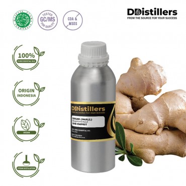 Ginger Small SCFE / Jahe Emprit Essential Oil Pure 100% | Zingiber Officinale var. amarum