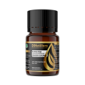 Clove Stem / Batang Cengkeh Essential Oil Pure 100% | Syzygium Aromaticum / Cengkeh