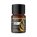 Coconut SCFE / Kelapa Essential Oil Pure 100% | Cocos Nucifera L.